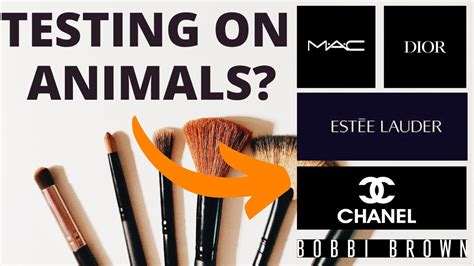 chanel animal cruelty|is Chanel animal testing.